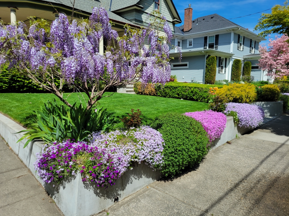 Care for Your Lawn and Landscape – Landscaping Services